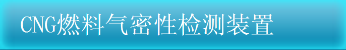 CNG燃烧气密性检测装置